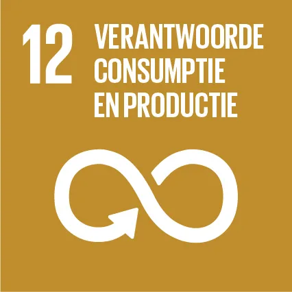 SDG 12: Verantwoorde Consumtie en Productie